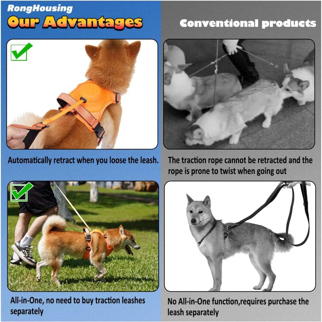 Dog Harness and Automatic Retractable Leash Kit