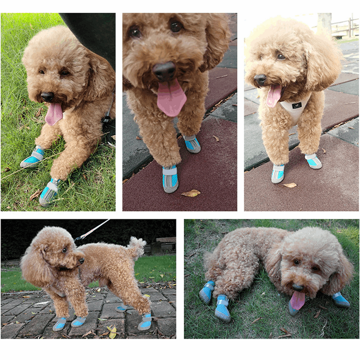 Dog Shoes for Hot Pavement