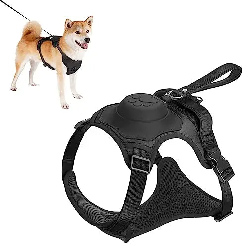 Dog Harness and Automatic Retractable Leash Kit