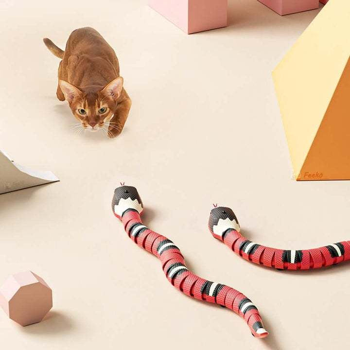 Interactive Snake Cat Toy