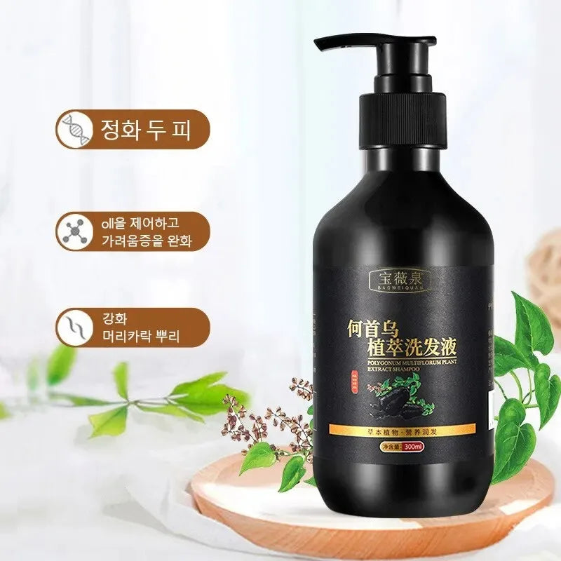 Herbal Polygonum Multiflorum Shampoo Oil Control, Dandruff Control, Itchy Relief Shampoo for Women Hair Essential Oil Hair Care