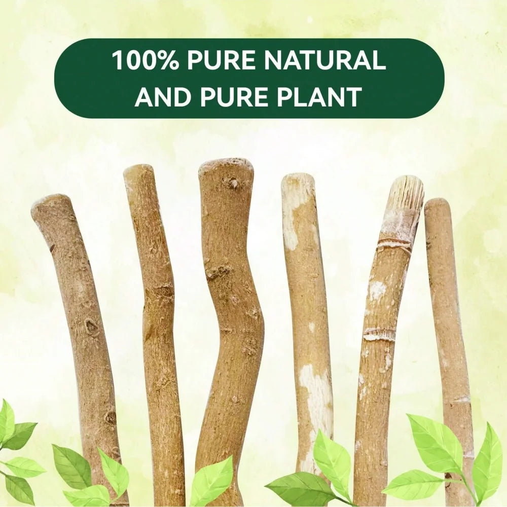 Ultra-Thin Natural Branch Miswak Toothbrush Stick Organic Wooden Slim Minimalist Gentle Bristles Gentle Bristles Zero-Waste Gift
